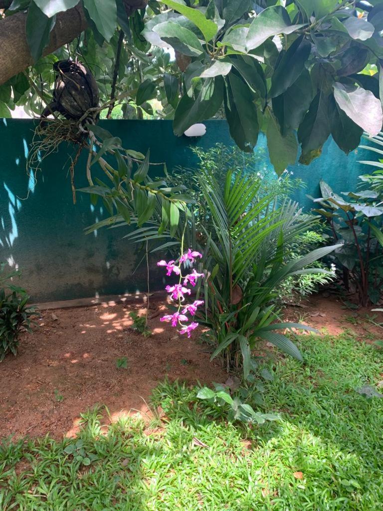 Villa Peace Heaven Galle Exterior photo