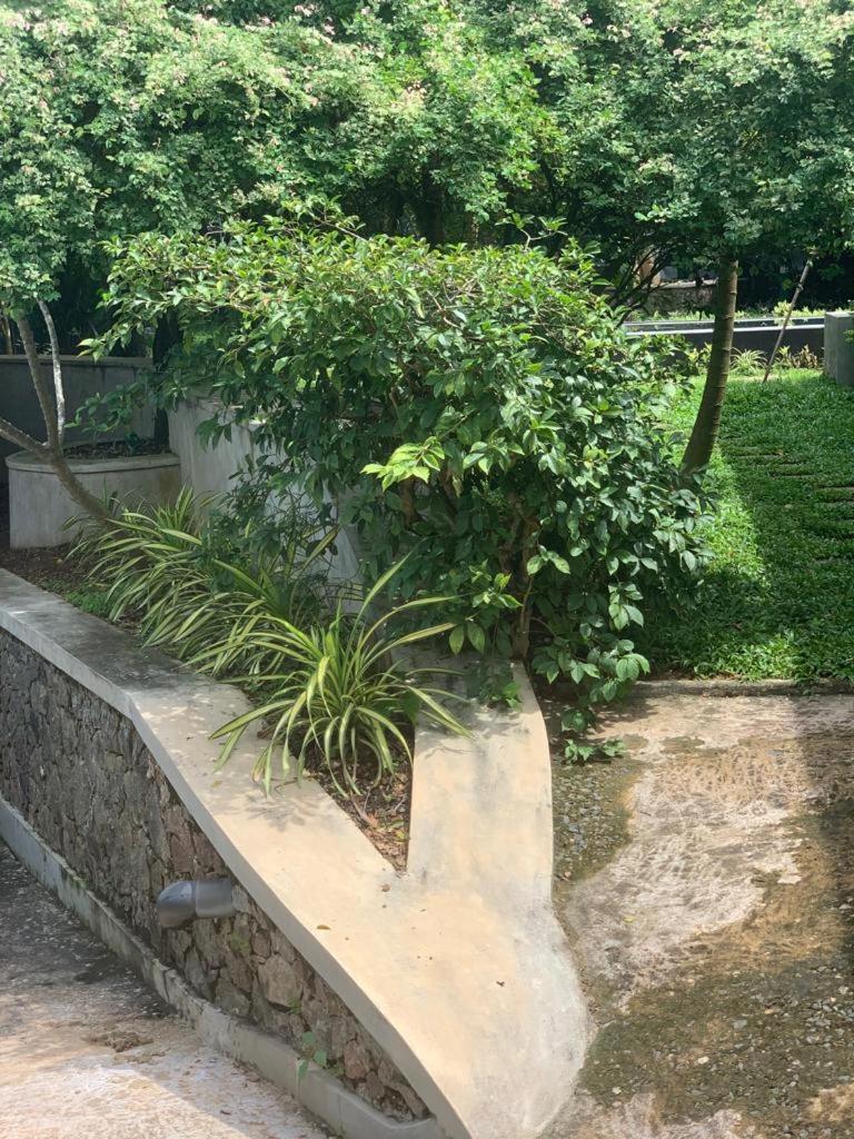 Villa Peace Heaven Galle Exterior photo